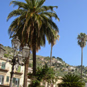 Photo de Tina Monaco