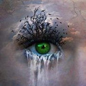 Aimee Ochs's photo