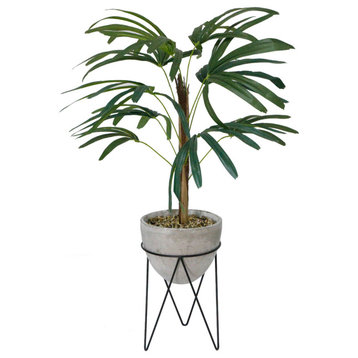 40"  Switch Cane Palm in Cement Planter on metal stand