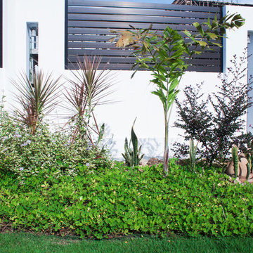 Formal Contemporary Side Lawn