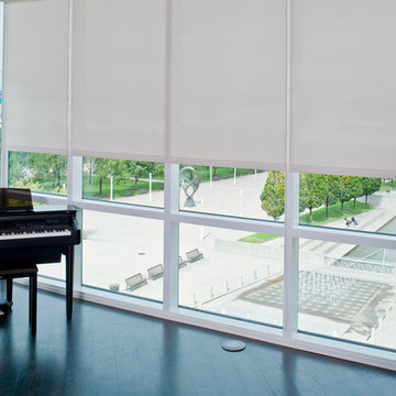 Roller Shades