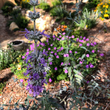 Montecito Haven