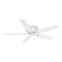 CIELING FANS