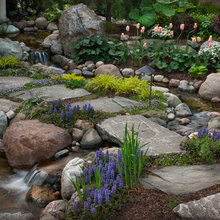 yard/patio