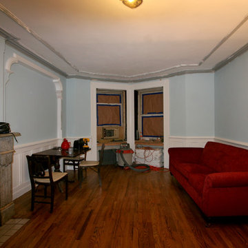 Bed Stuy Basement Apartment