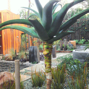 Wellford Residence