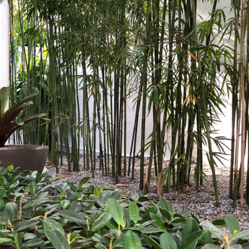 Urban Retreat near Downtown Miami