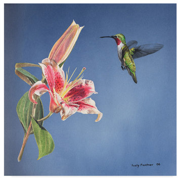 Rusty Frentner 'Hummingbird And Lily' Canvas Art, 14"x14"