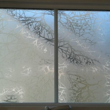 Residential Window Film Installations