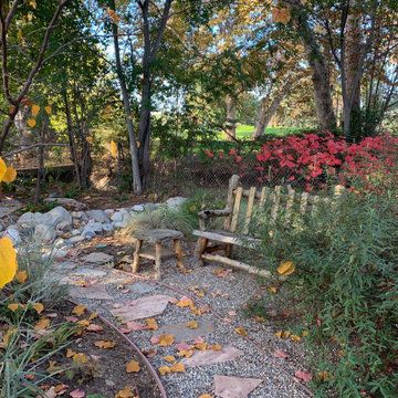 California Craftsman Forest - 5 Years Later