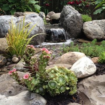 Waterfalls, Streams, Ponds: Design, Replace, Install, Build, Install
