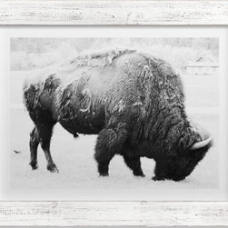 Remnants of the Not-So-Distant Past by Shannon Dunlap - Fine Art Prints