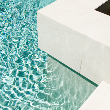 Pool, Palms and Prickly Pear