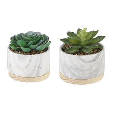 Shelves Decor