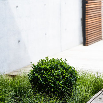 Blairgowrie Coastal Home & Landscape
