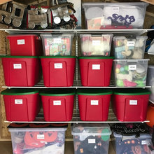 Organization