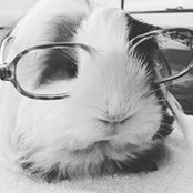 Vania Ochoa's photo