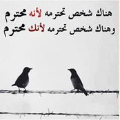 Foto von مهند طويل