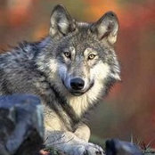 Tina Selig's photo