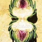 Foto von Vigneron Frédéric