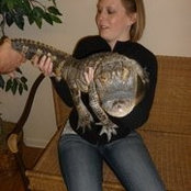 Melissa Roe's photo