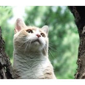 John Scheuerman's photo