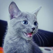 Simona Muresan's photo