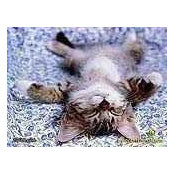 Elena Thomas's photo