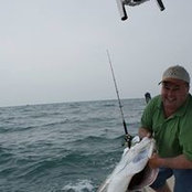 William Listerman's photo