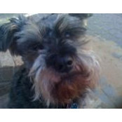 Monique "Moe" Johnson's photo