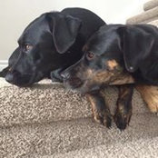 Ryan Webb's photo