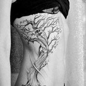 Toni Johnson's photo