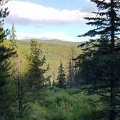 Loren Bauman's photo
