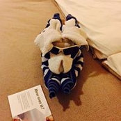 Serena Beirne's photo
