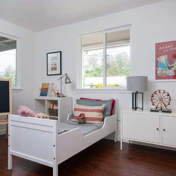 Plum Street Remodel