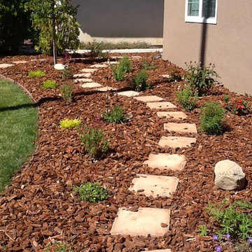 Curb Appeal with Texture and Color