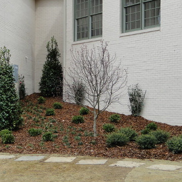 Foundational Planting