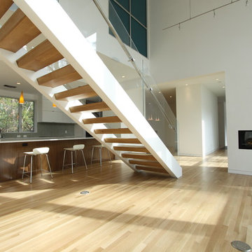 Woodlands modern House