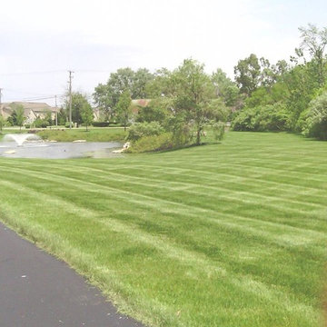 Full Service Lawn care