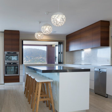 Modern Minimalist Kitchen/Dining/Outdoor