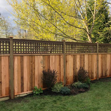Backyard 2022 screens