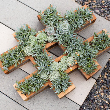 Container Designs and Ideas
