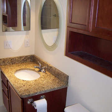 Northville Michigan Condominium Remodel