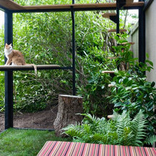 Catio