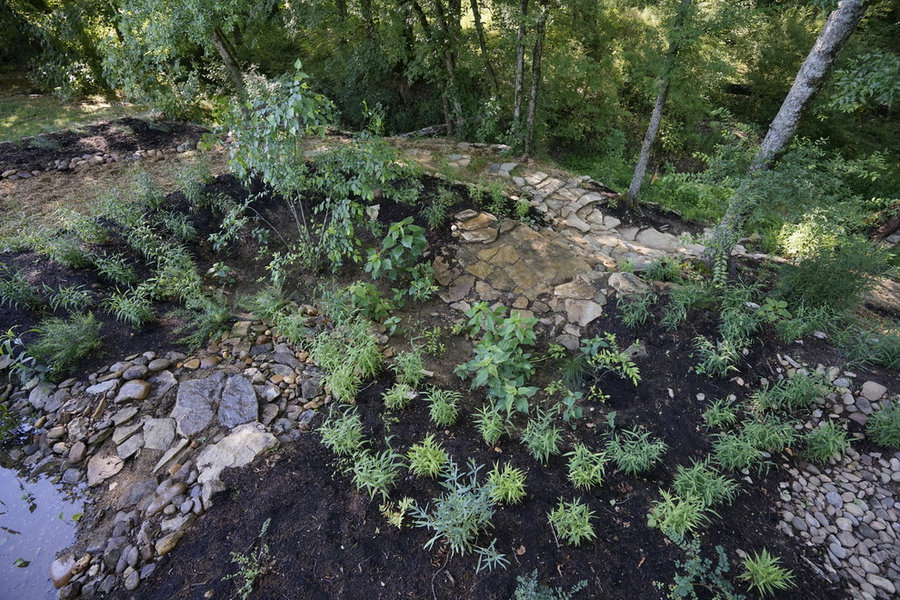 French Broad Rain Garden