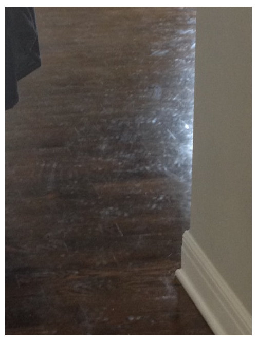 Dog Foot Prints That Won T Come Off, How To Get Bona Polish Off Hardwood Floors
