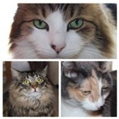 Kathy Dabner's photo