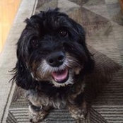 Trish Pflug's photo