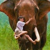 Michael Hine's photo