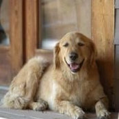 Lucy Cronemeyer's photo